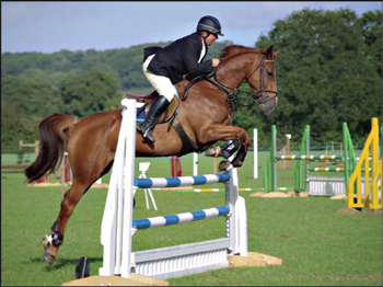 Horse Whispering: Confidence….what is it?