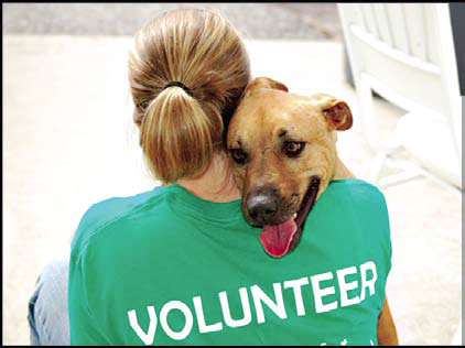 Calling All Volunteers!! ~ Dog Barker