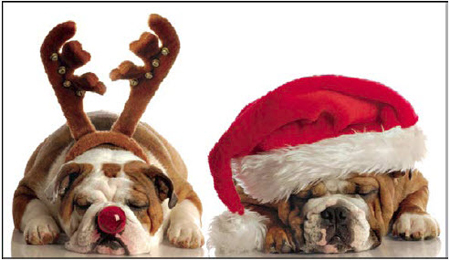 A Letter To Doggie Claus – The Dog Barker