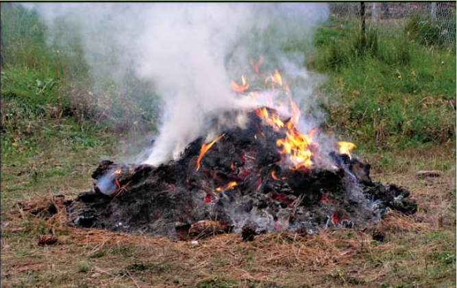 Open Burning In Limestone County