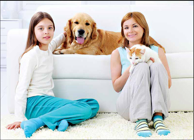 Make Your New House Feel Like Home To Your Family Pets