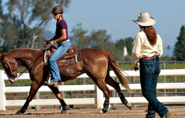 Horse Whispering – Collect, Connect, Canter