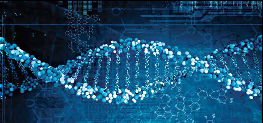 Epigenetics Series:  Fundamentals