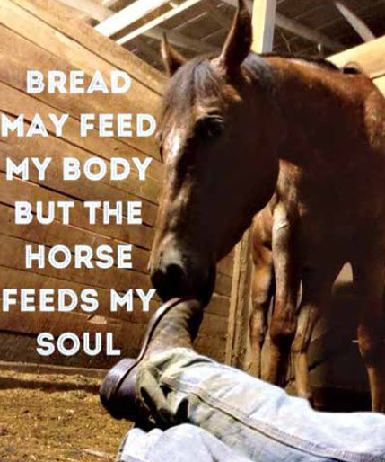 Horse Whispering – Horse And Soul