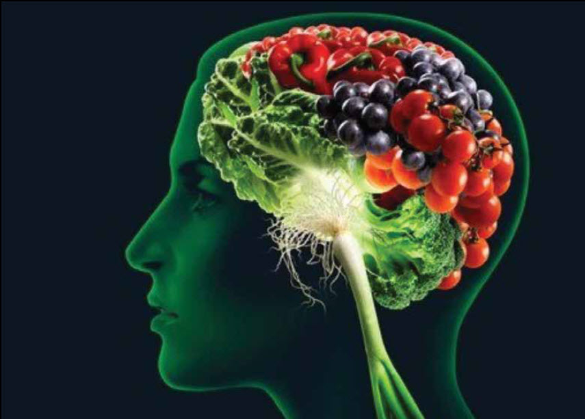 Nutrition And Tthe Aging Brain – Health And Fitness