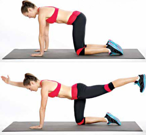 Core Exercises For The Beginner – Health & Fitness