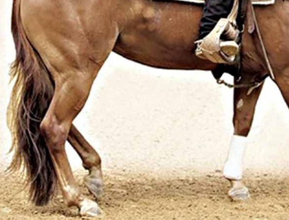 Cowboy Dressage – Horse Whispering