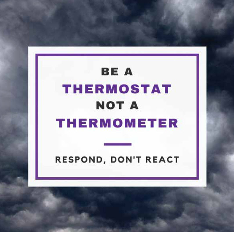 The Thermostat Or The Thermometer