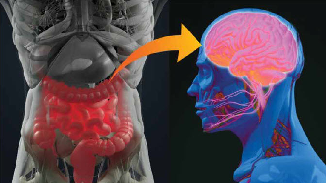 Rewiring Your Second Brain  – Mental Health Minute